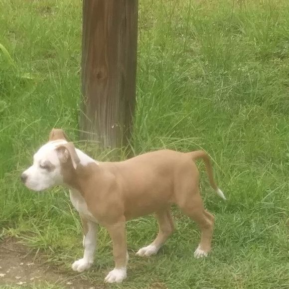 Meet your Posher, Chris - Picture 1 of 1